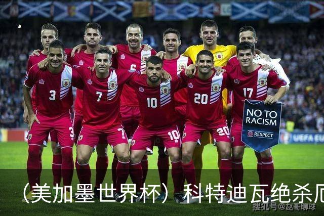 （美加墨世界杯）科特迪瓦绝杀厄瓜多尔 瑞典5:1大胜突尼斯