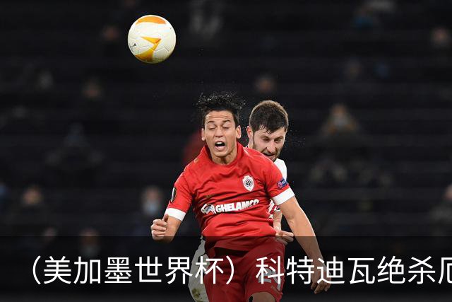 （美加墨世界杯）科特迪瓦绝杀厄瓜多尔 瑞典5:1大胜突尼斯